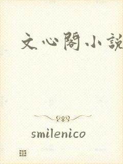 文心阁小说