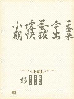 小坏蛋今天危险期快拔出来