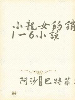 小龙女的销魂夜1一6小说封面