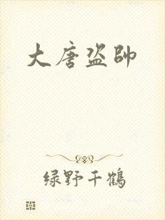 大唐盗帅
