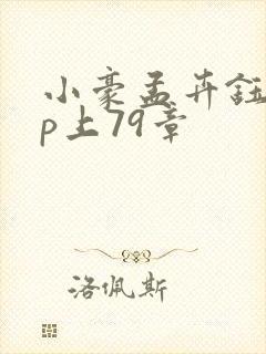 小豪孟卉钰慧三p上79章