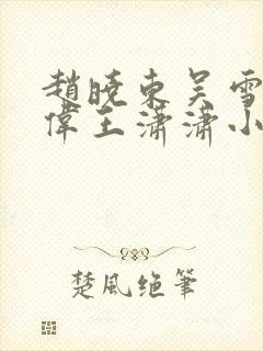 赵晓东吴雪晴郑伟王潇潇小说名字