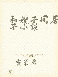 和嫂子同居的日子小说封面