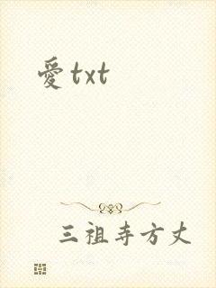 爱txt