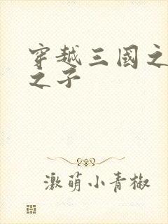 穿越三国之袁绍之子