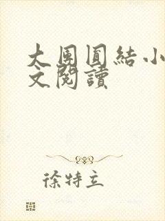 大团圆结小茹全文阅读