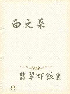 白文采