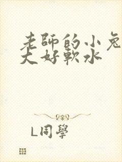 老师的小兔子好大好软水