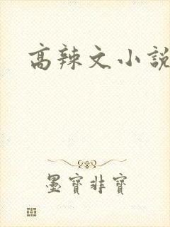 高辣文小说