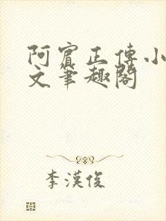阿宾正传小说全文笔趣阁