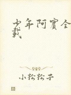 少年阿宾全集下载
