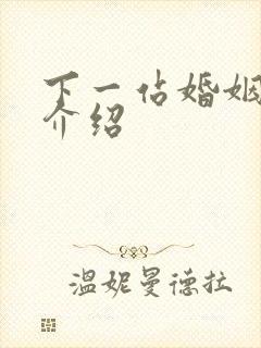 下一站婚姻剧情介绍
