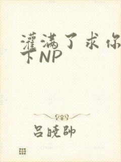 灌满了求你们停下NP