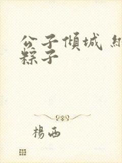 公子倾城 维和粽子