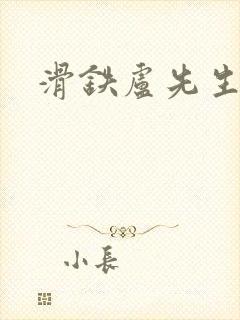 滑铁卢先生