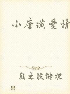 小唐璜爱情历史封面