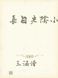 长日光阴小说