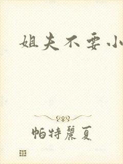 姐夫不要小说
