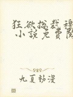 狂欲总裁穆非雪 小说免费阅读