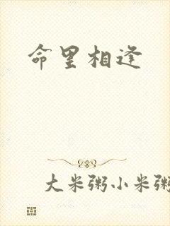 命里相逢