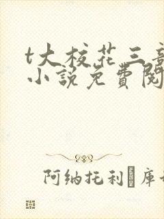 t大校花三部曲小说免费阅读全文