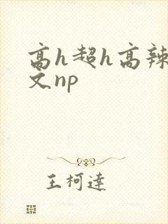 高h超h高辣h文np