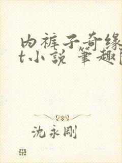 内裤子奇缘txt小说 笔趣阁