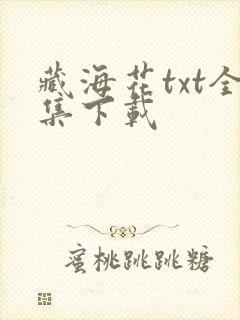 藏海花txt全集下载封面