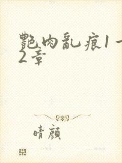 艳肉乱痕1一12章封面