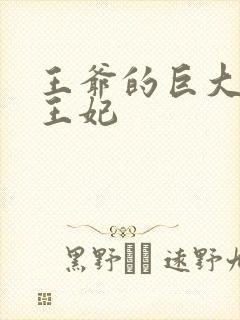 王爷的巨大进入王妃封面