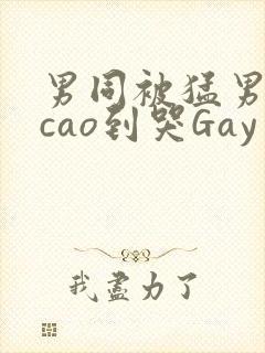男同被猛男房东cao到哭Gay封面