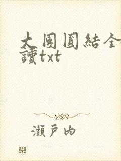 大团圆结全文阅读txt