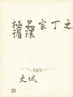 极品家丁之因果循环