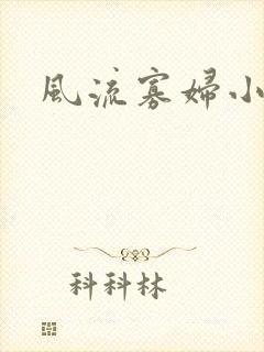 风流寡妇小说