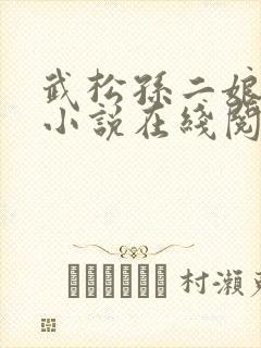 武松孙二娘云雨小说在线阅读封面
