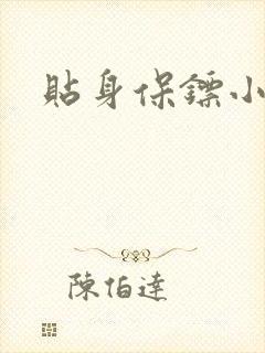 贴身保镖小说