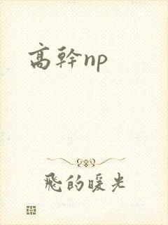 高干np