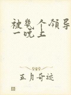 被几个领导玩弄一晚上封面