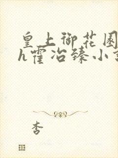 皇上御花园hlh霍冶臻小说封面