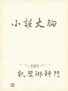 小说大胸封面