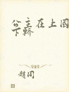 公主在上国师请下轿