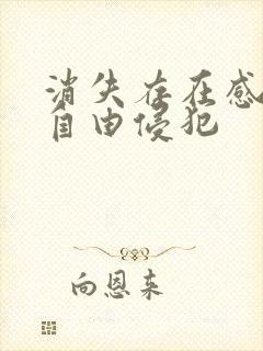 消失存在感消失自由侵犯