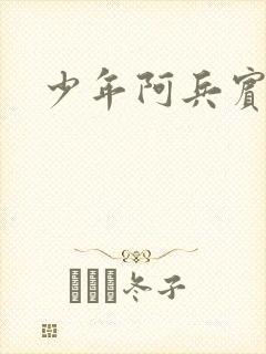 少年阿兵宾封面