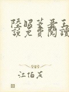 陆昭菱晋王的小说免费阅读