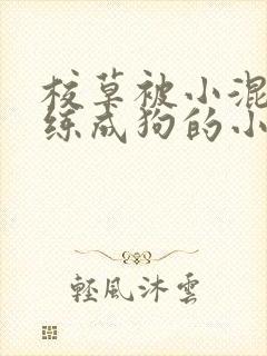 校草被小混混训练成狗的小说封面