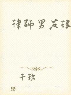 律师男友很难撩