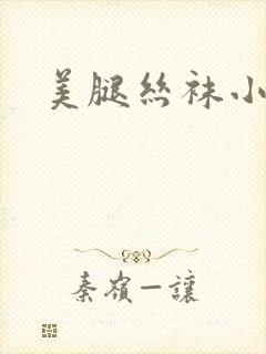 美腿丝袜小说