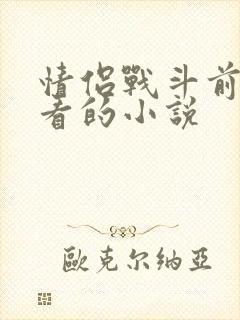 情侣战斗前适合看的小说封面