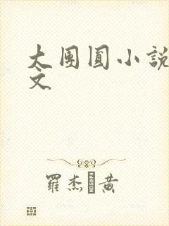 大团圆小说集全文封面