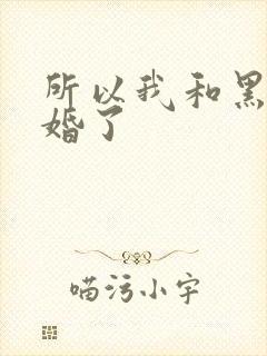 所以我和黑粉结婚了